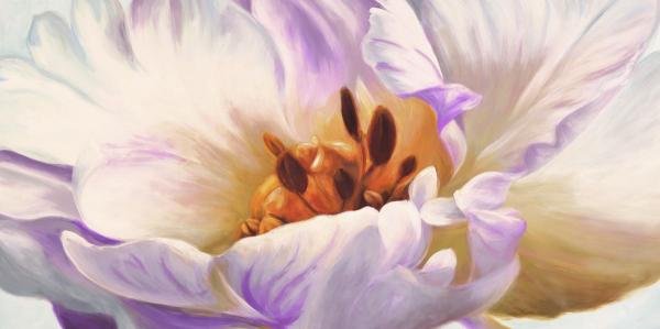 Tulipe