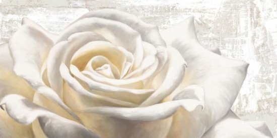 White On White