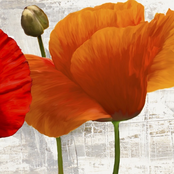 Summer Poppies II