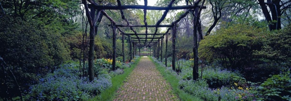 Garden Path, Old Westbury Gardens, Long Island