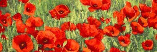 Poppies