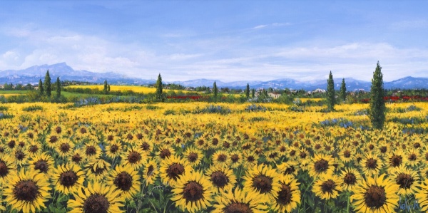 Girasoli