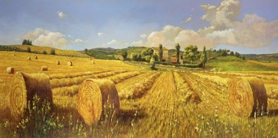 Campo di Toscana