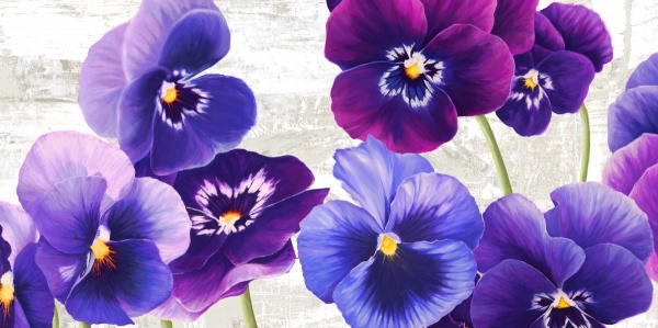 Dance of Pansies