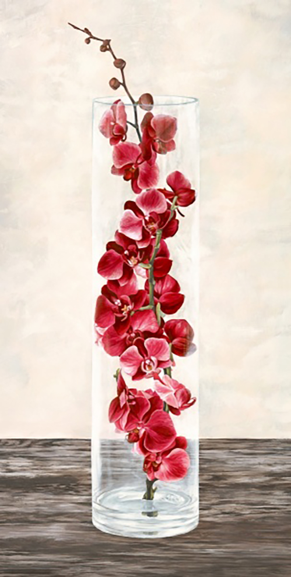 Arrangement of Orchids