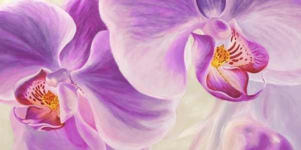 Purple Orchids