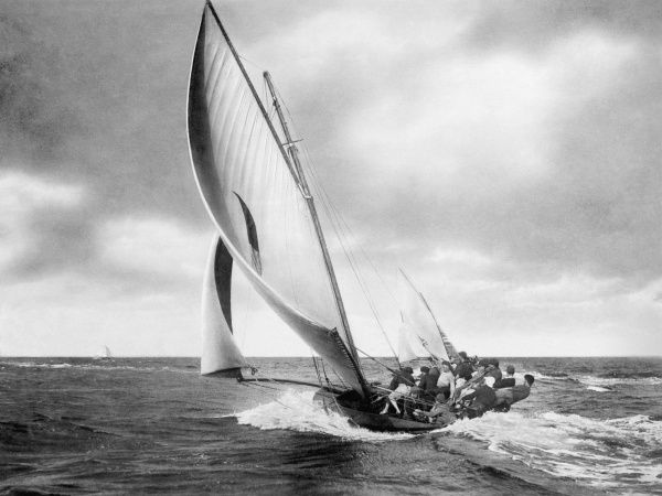 Under Sail, Sydney Harbor