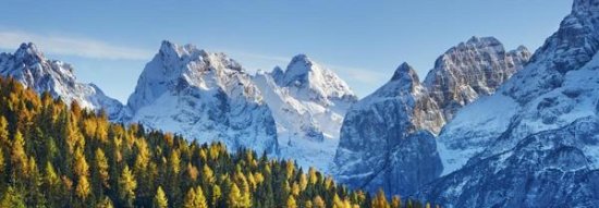 Larch Forest and Cima bel Pra, Italy
