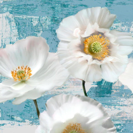 Wahed Poppies (Aqua) I
