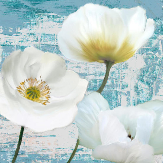 Wahed Poppies (Aqua) II