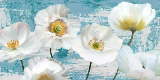 Wahed Poppies (Aqua)