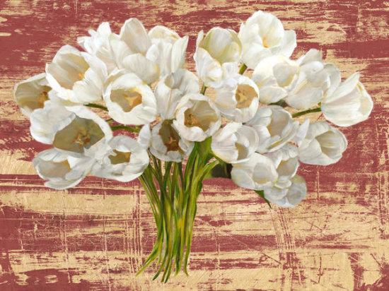 Wahed Tulipss (Red & Gold)