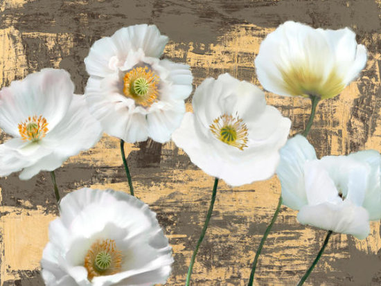 Wahed Poppies (Ash & Gold)