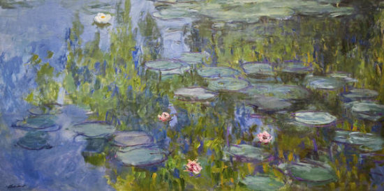 Water Lilies