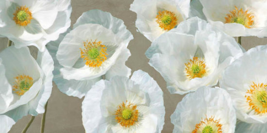Poppy Arrangement (taupe)