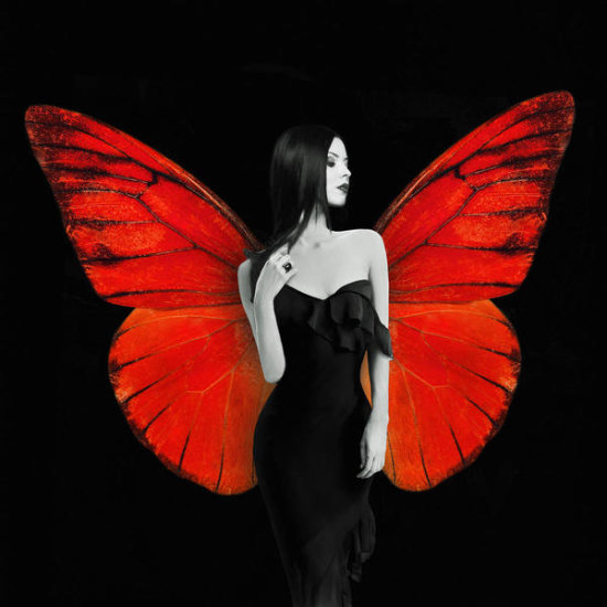 Winged Beauty 2