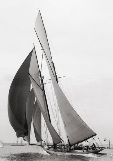 Colonia