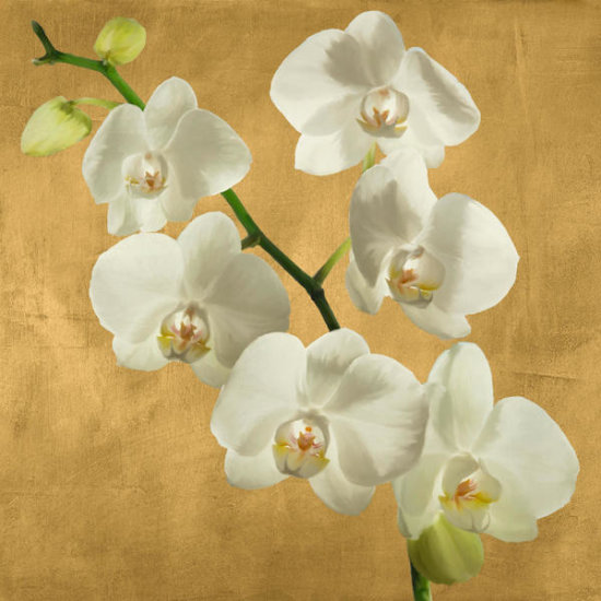 Orchids On a Golden Background I