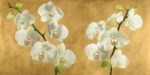 Orchids On a Golden Background