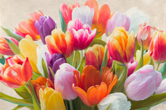 Spring Tulips