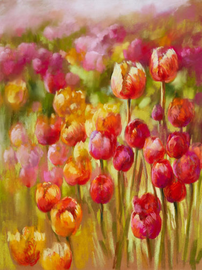 Tulip Sea