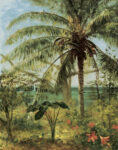 Palm Tree, Nassau, 1892