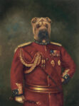 Major-General Woof