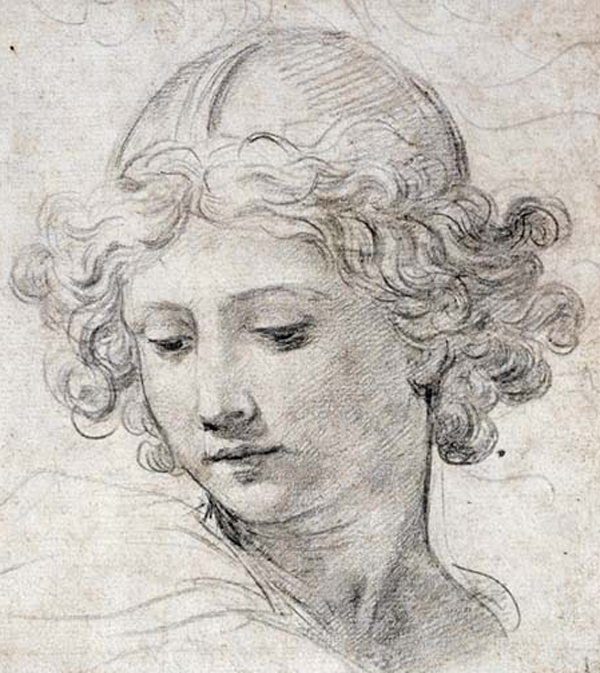 The Head of An Angel