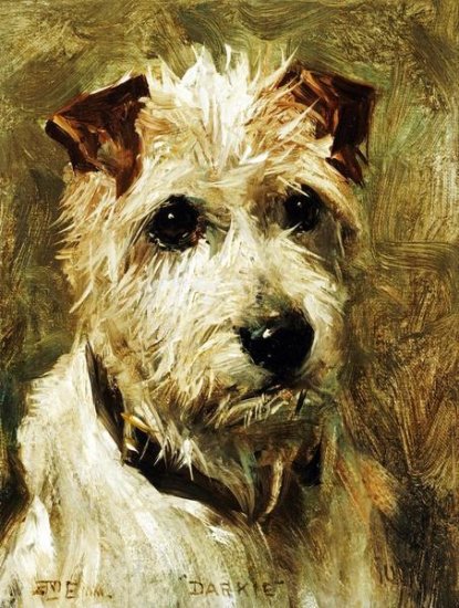 Portrait of a Terrier - Darkie