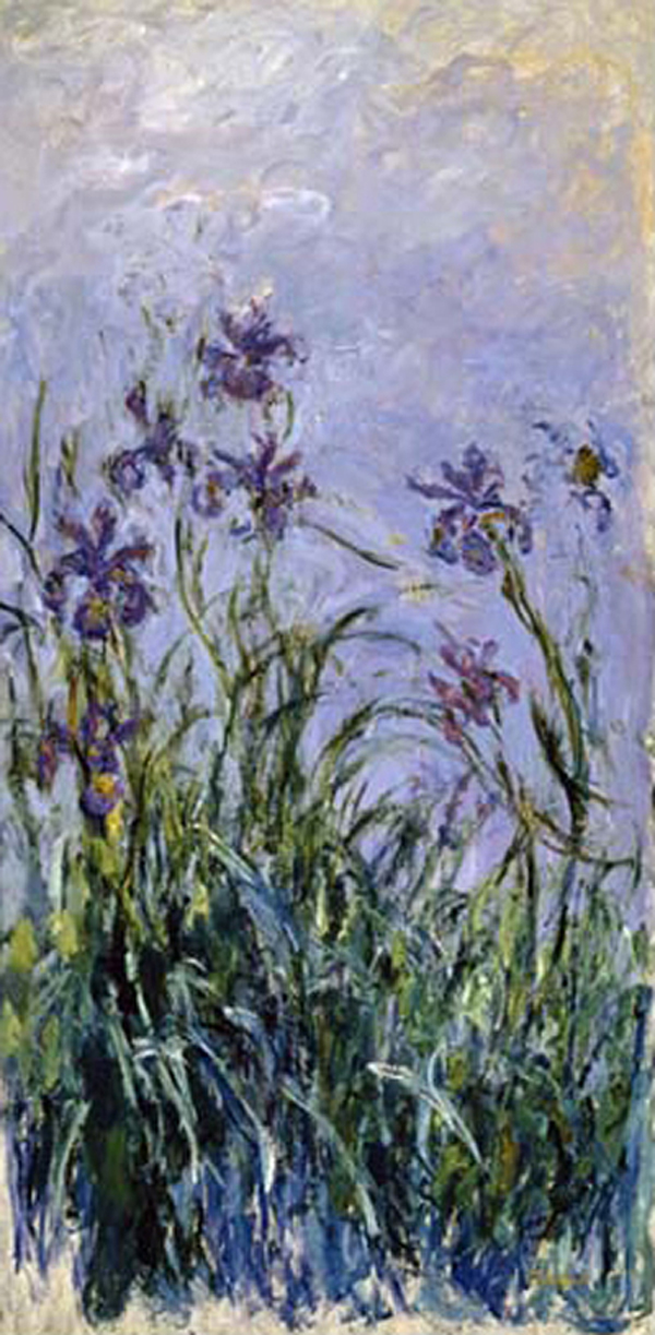 Iris Mauves