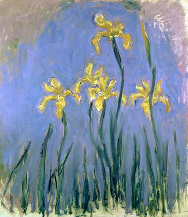 Yellow Irises