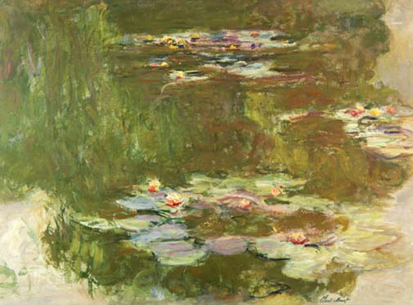 Lily Pond