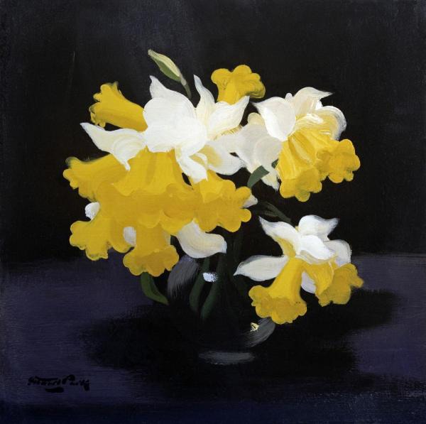 Daffodils