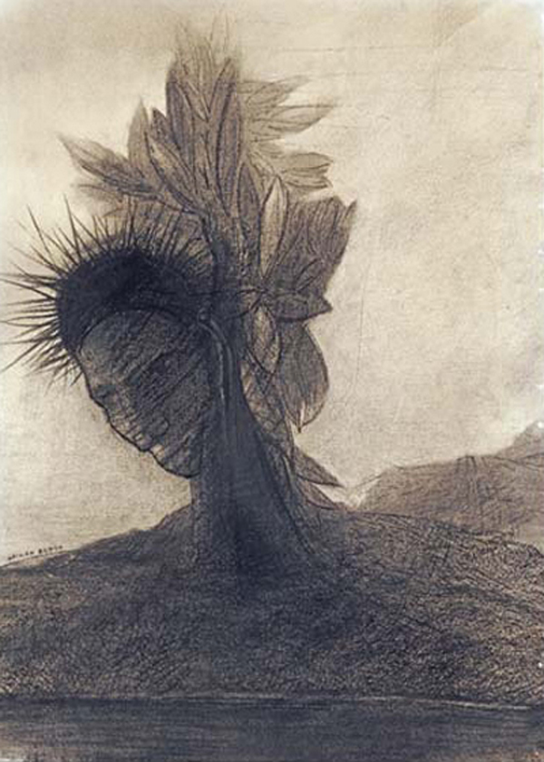 The Male Tree