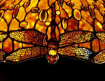 Detail of an Important Dichroic Dragonfly