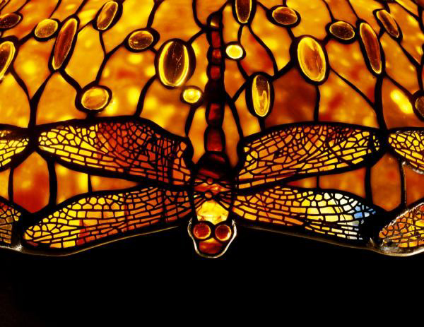 Detail of an Important Dichroic Dragonfly