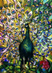 Fine Peacock
