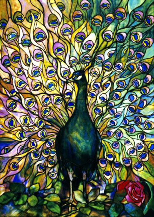Fine Peacock