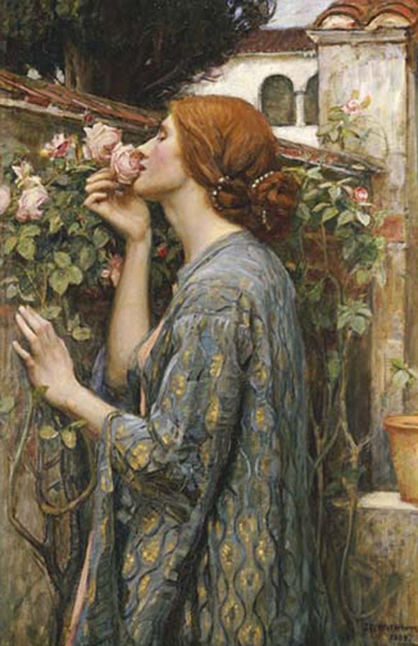 The Soul of The Rose