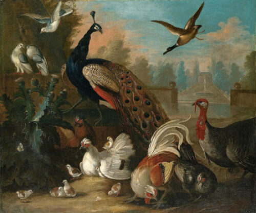 A Peacock and Other Birds