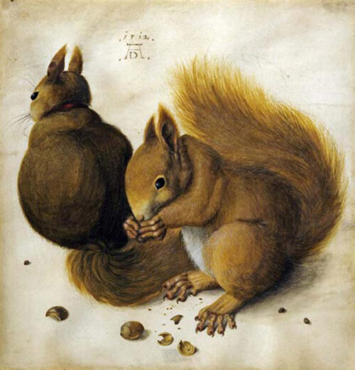 Two Squirrels, One Eating a Hazelnut