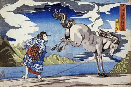 A Strong Woman Subduing a Wild Horse