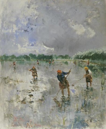 Women Working in Rice Fields