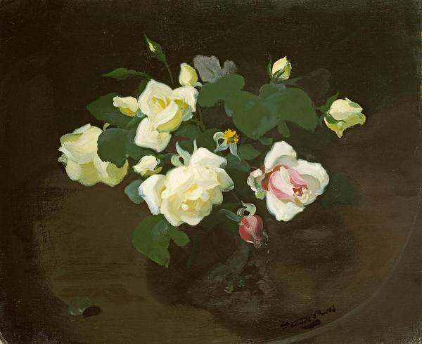 Yellow and Pink Roses