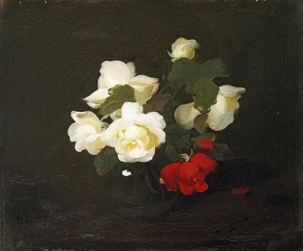 Yellow and Red Roses