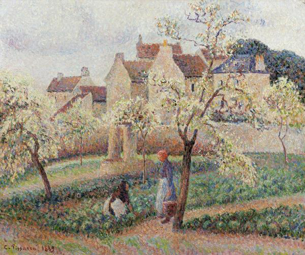 Plum Trees in Blossom