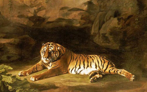 Portrait of The Royal Tiger