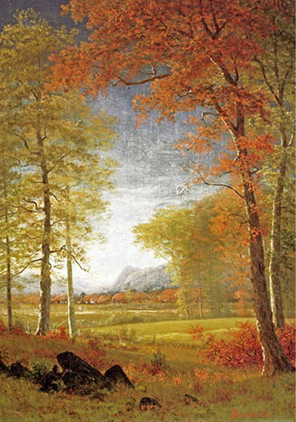 Autumn In America, Oneida County, New York