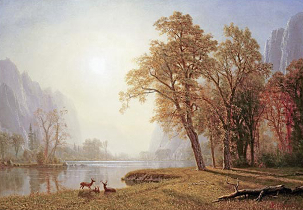 Yosemite Valley