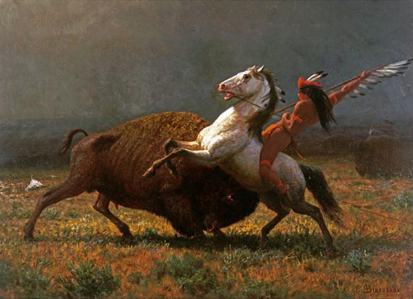 The Last of The Buffalo